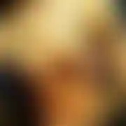 Elpolako7