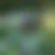Jedynytaki35
