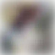 Miosio69