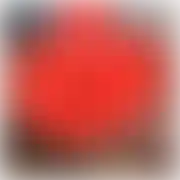 Szampan7
