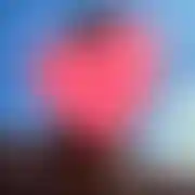 Pieszczoszekcalusnik