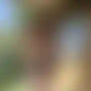 Daniel26