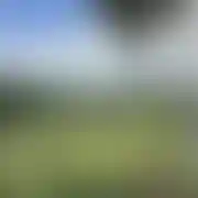KamilKamilKamil113