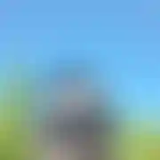 Duzy5000