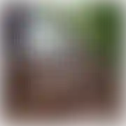 Duzy5000