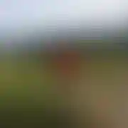 ChetnyNaRealn37