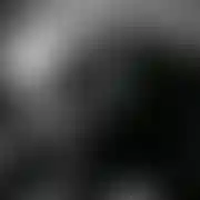 LukasAdam89