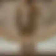 MisterLove