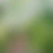 Yuliia38 - frau, 39 Jahre, Харків