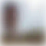 Pzn40