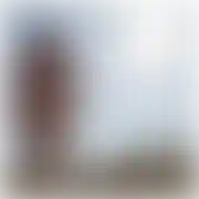 Pzn40