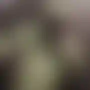 Nowicjusz420