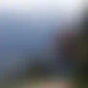 Seba009