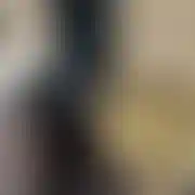 Maja85trans