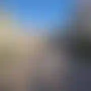 DjMarian