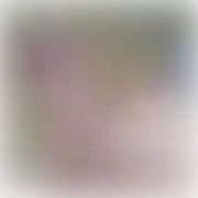 Patyczak15