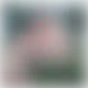 Misssiak - mann, 34 Jahre, Głowno