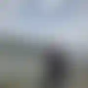 Celebryta87