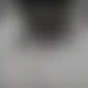 Pieszczoch100