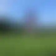 Smakosz18
