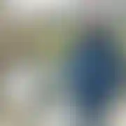 Xzbychuxl
