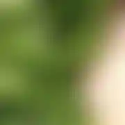 Zbawiciel88