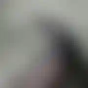 Tomekromek75