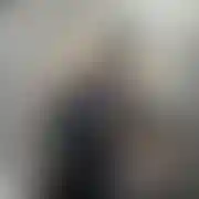 Patyczak1