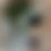 MlodyJurnyWaw