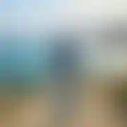 Vascovadama