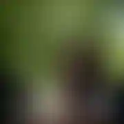 Mydlaniej93
