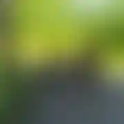 Denissex - mann, 41 Jahre, Чернігів