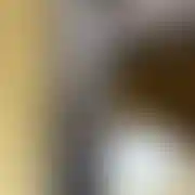 WaldilveMLF69