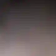 Haurybeear