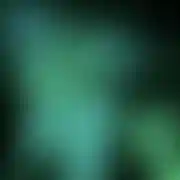 Mlodygracz354