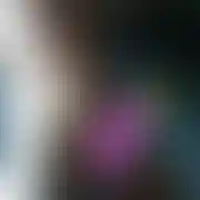 Kameal
