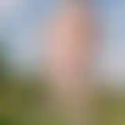 Gezegorz