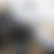Nietuzinkowyop