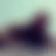 Byku60