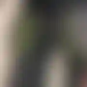 Zbfacet
