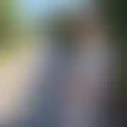 ZwyklyAdi