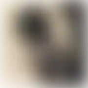 LubieTrans80