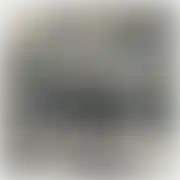 Newconer