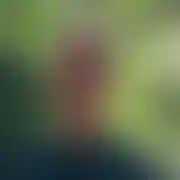Xxxxx777 - mann, 19 Jahre, Wismar