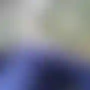 Adam208