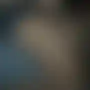 Tylkopatrzetutaj