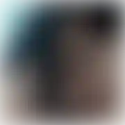 Domi8085