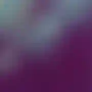WiemCoJest5