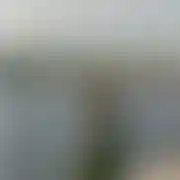 Poszarpany