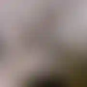 Napisz22
